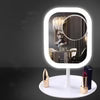 Dressing Mirror With Light Bulb Fill Light
