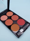 Make-up Multi-color  Blush  Makeup